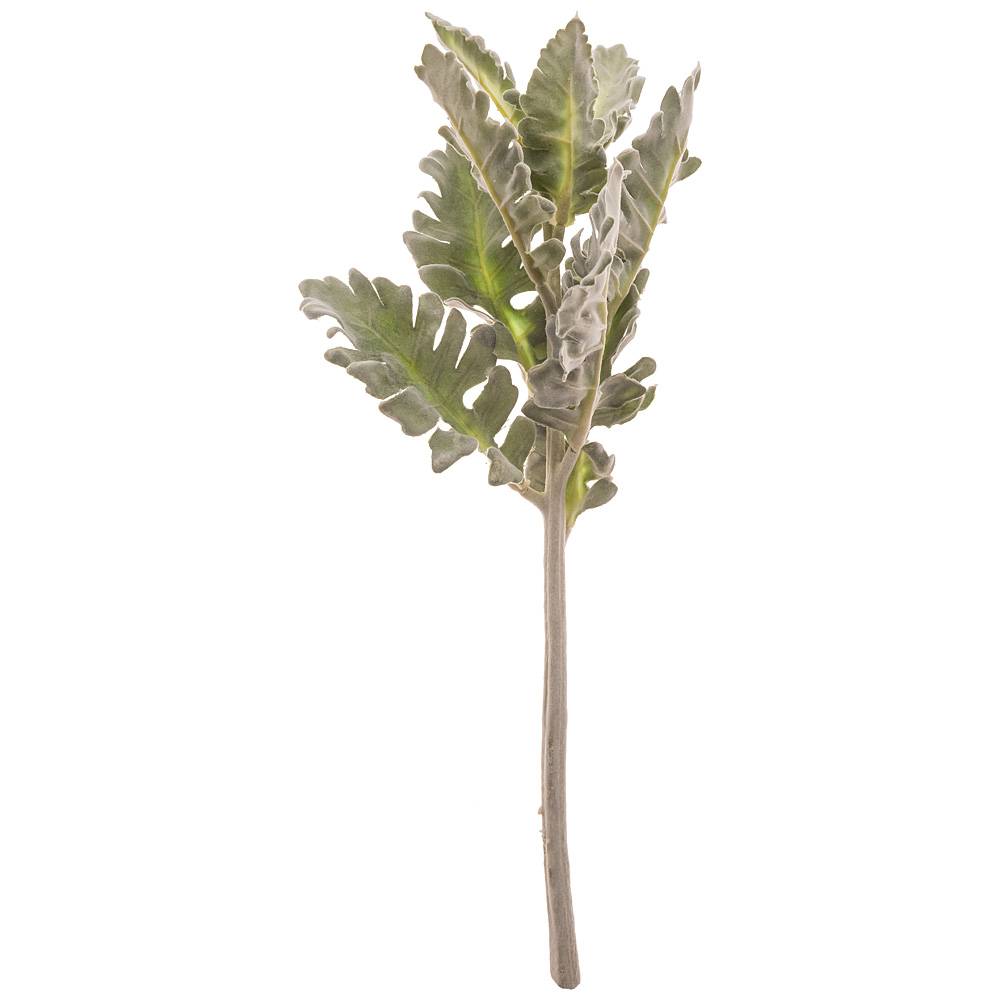 ВЕТКА ИСКУССТВЕННАЯ ВЕТКА ИСКУССТВЕННАЯ