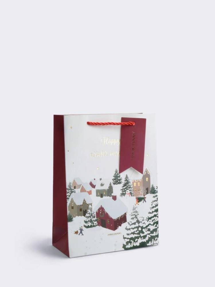 Пакет подарочный, 18х24 см, бумага, бело-красный, Снежный город, Town