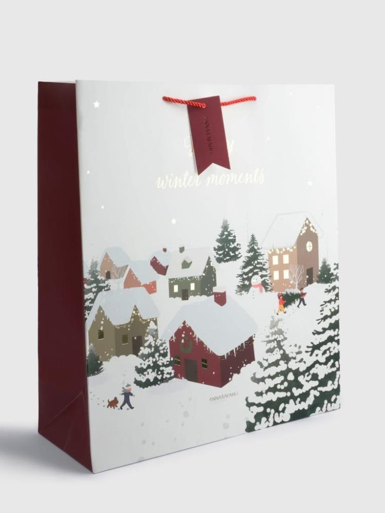 Пакет подарочный, 48х42 см, бумага, бело-красный, Снежный город, Town