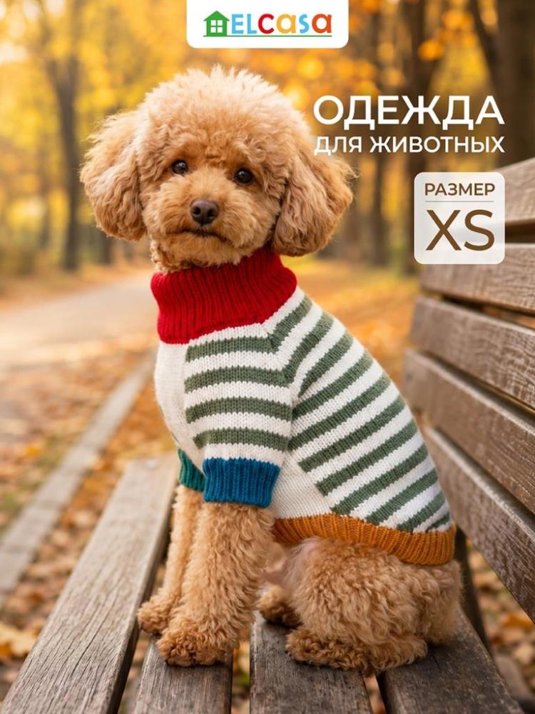 Одежда для животных-свитер XS, молочно-зеленый