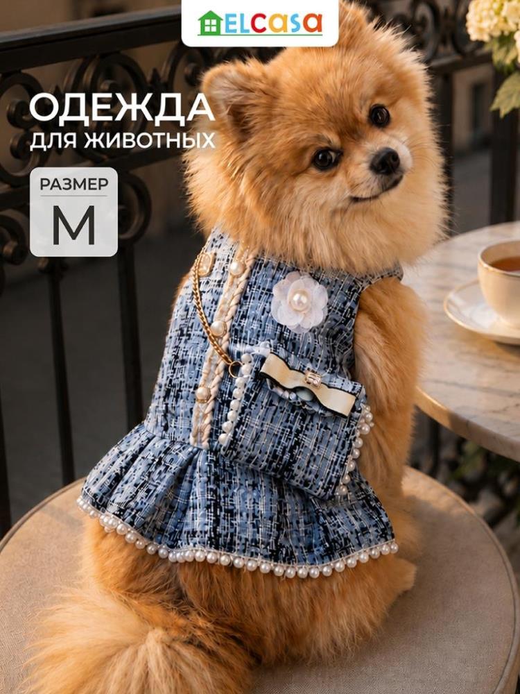 Одежда для животных-платье M, голубой. клетка