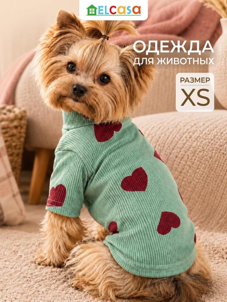 Одежда для животных-водолазка XS, зеленый