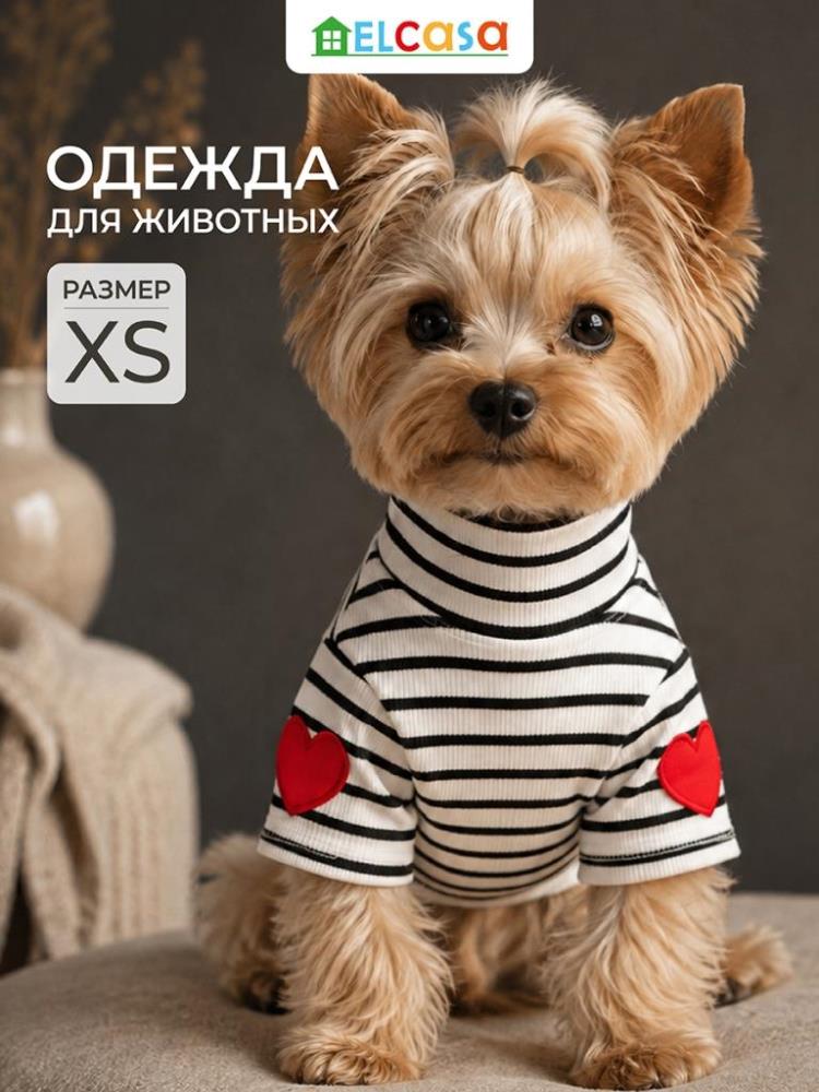 Одежда для животных-водолазка XS, черный