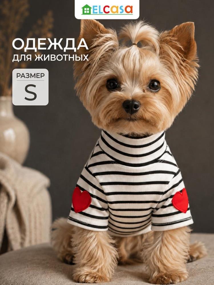 Одежда для животных-водолазка S, черный