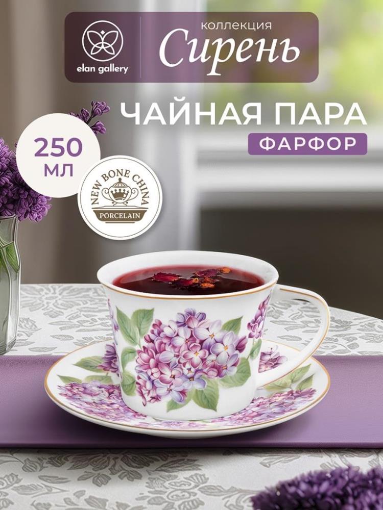 Чайная пара 2 пр. 250 мл 12,5*9,5*7 см 