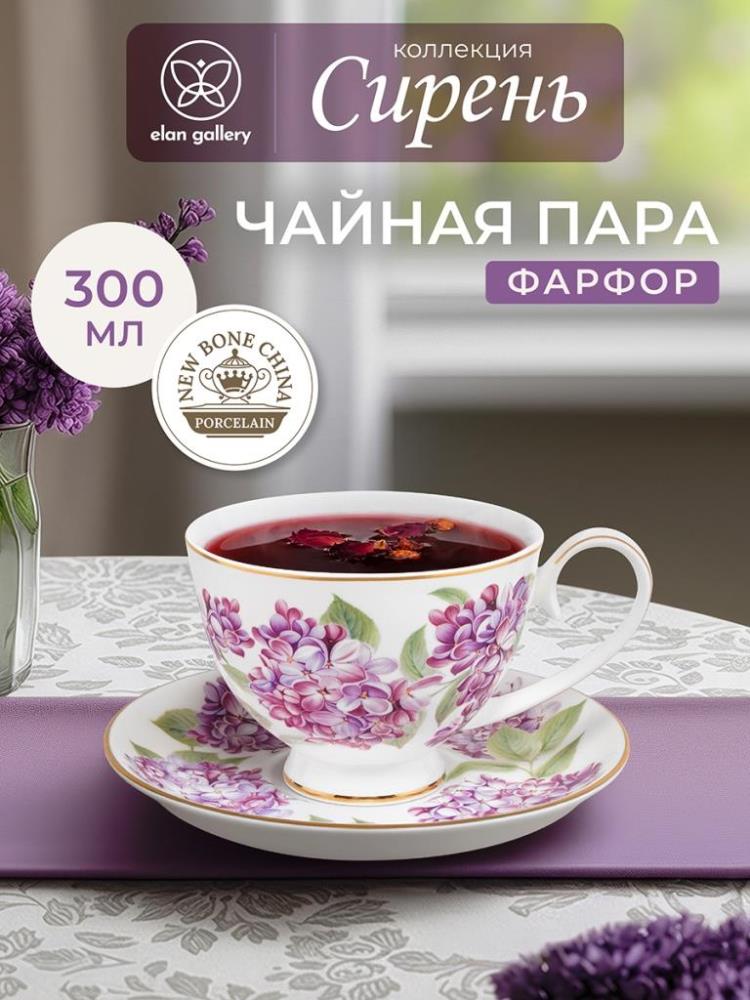 Чайная пара 2 пр. 300 мл 12,5*9,5*7 см 