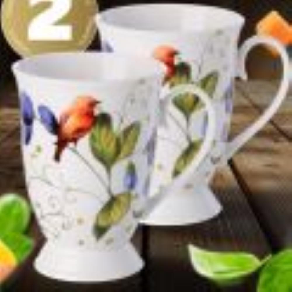 60066-Н2 Набор кружек 2пр 300мл фарфор LR (х12).