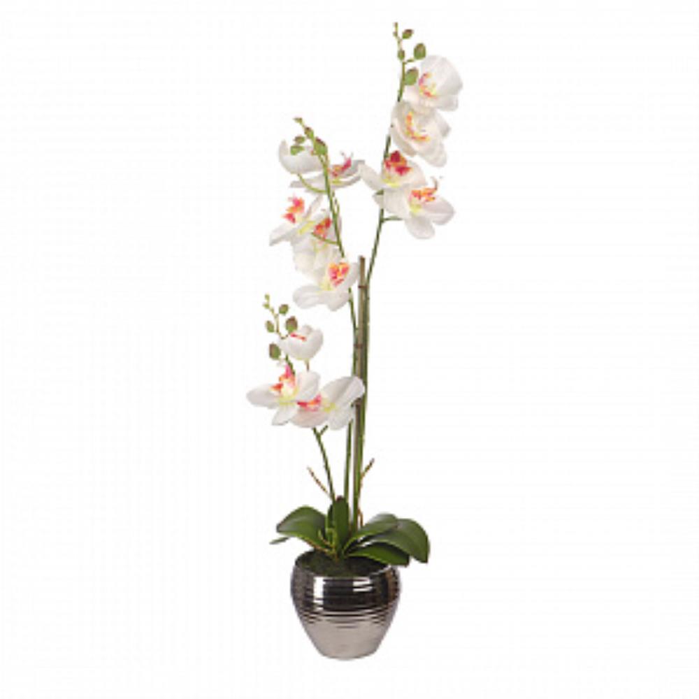 Орхидеи в керамической вазе, Д120 Ш120 В620, белый