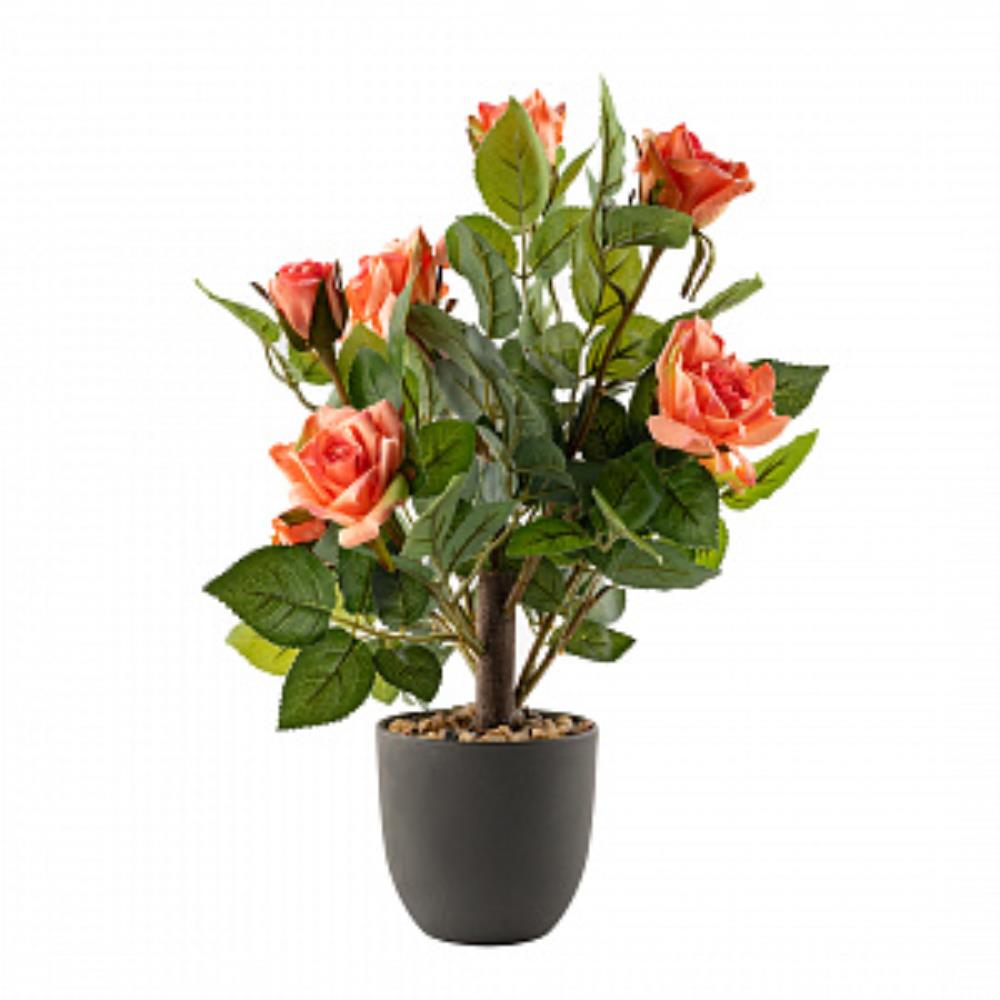 Цветочная композиция 