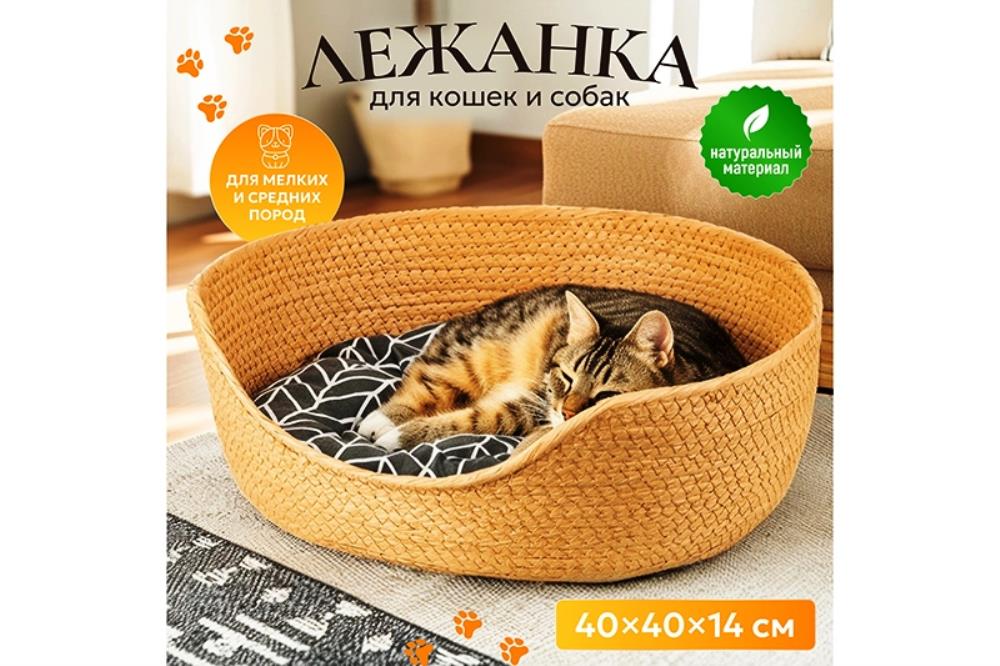 Лежанка плетеная для кошек и собак 40*40*14 см, с подушкой