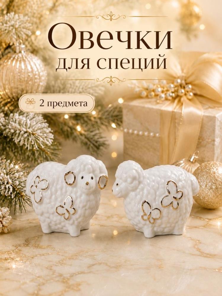 Набор д/специй 2 пр. 9,5*5*7 см Набор д/специй 2 пр. 9,5*5*7 см