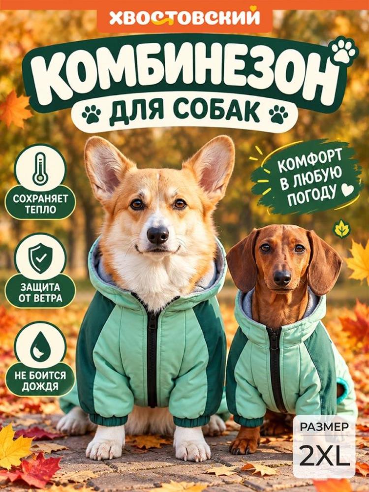 Комбинезон для собак 2XL, бирюзовый