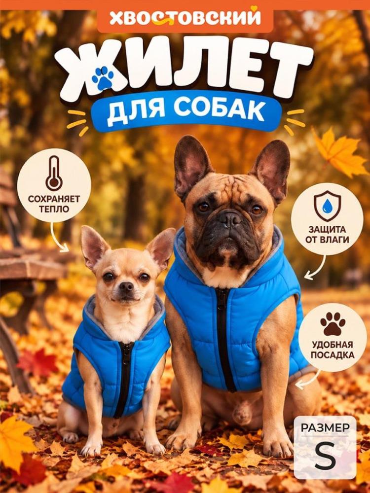Жилетка для собак S, голубой Жилетка для собак S, голубой