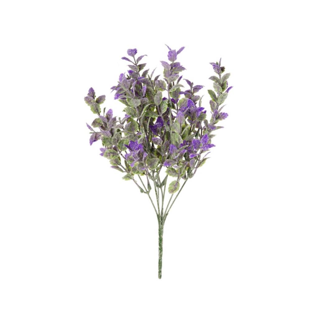 Мелкоцвет, В300, фиолетовый