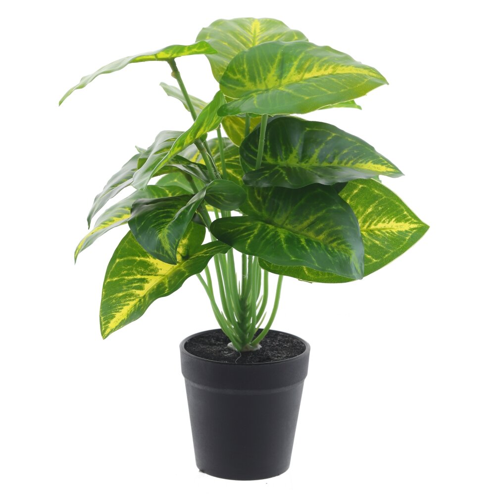 Цветочная композиция Цветочная композиция