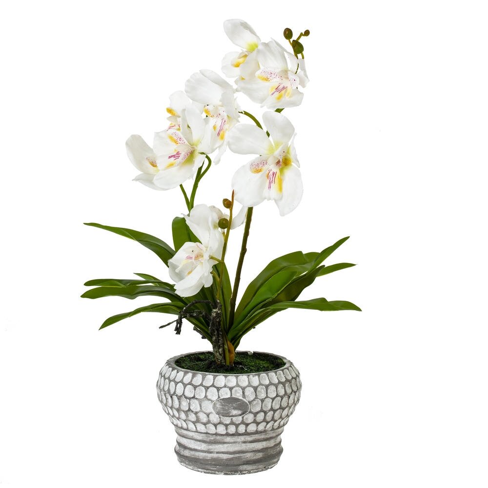 Цветочная композиция Цветочная композиция