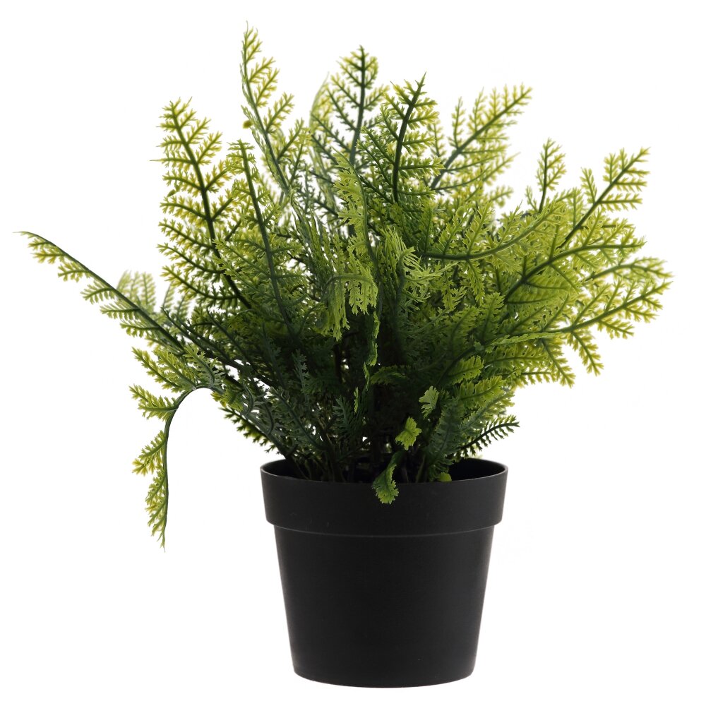 Цветочная композиция, L23 W23 H25 см Цветочная композиция, L23 W23 H25 см