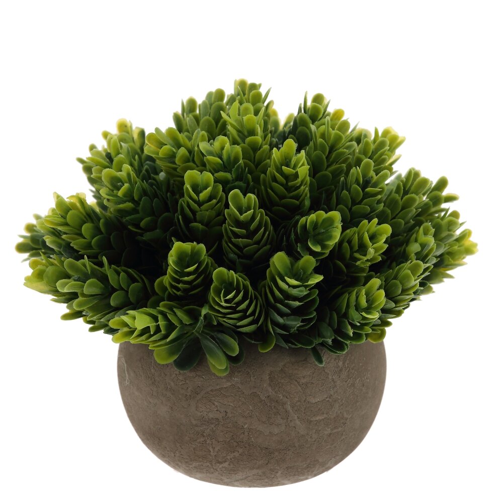 Цветочная композиция, L14 W14 H13,5 см Цветочная композиция, L14 W14 H13,5 см