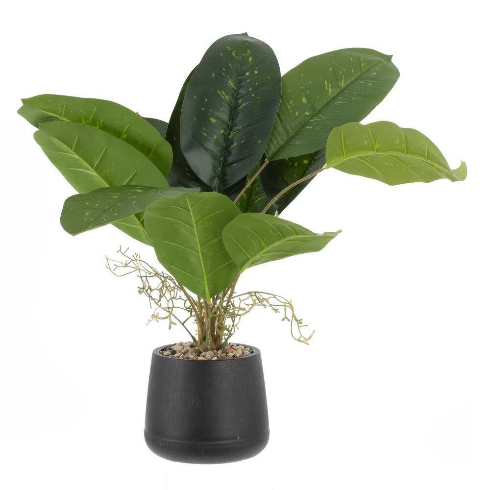 Цветочная композиция 