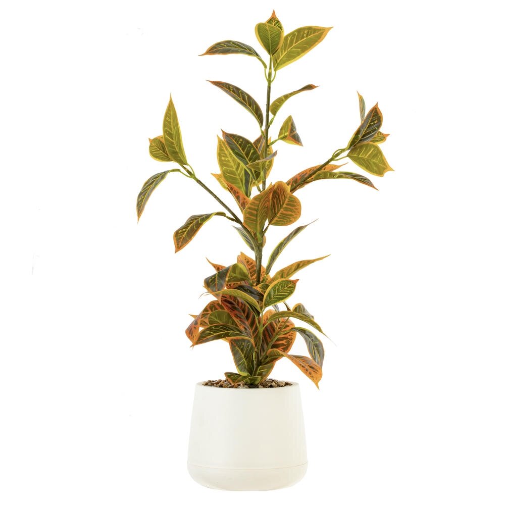 Цветочная композиция 