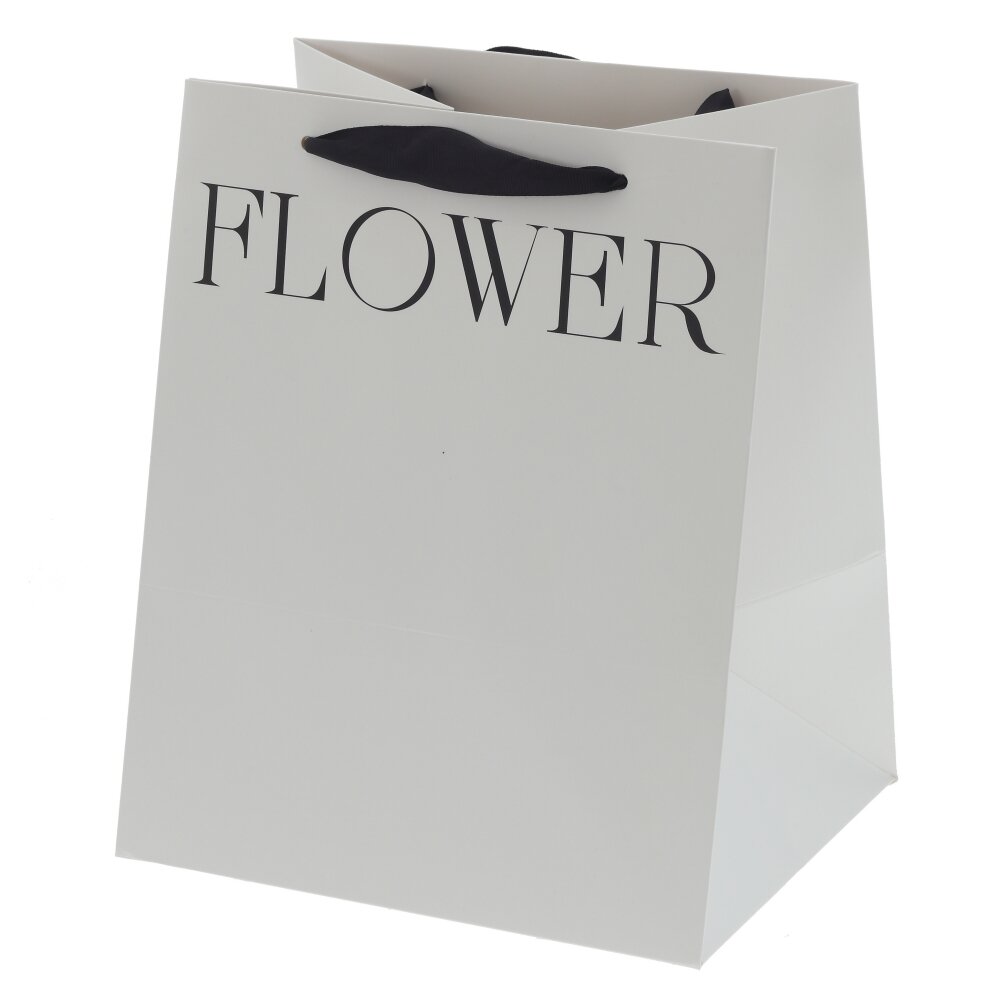 Пакет подарочный S (бумага 250г/м2, блок 10шт), L22 W19 H27 см Пакет подарочный S (бумага 250г/м2, блок 10шт), L22 W19 H27 см