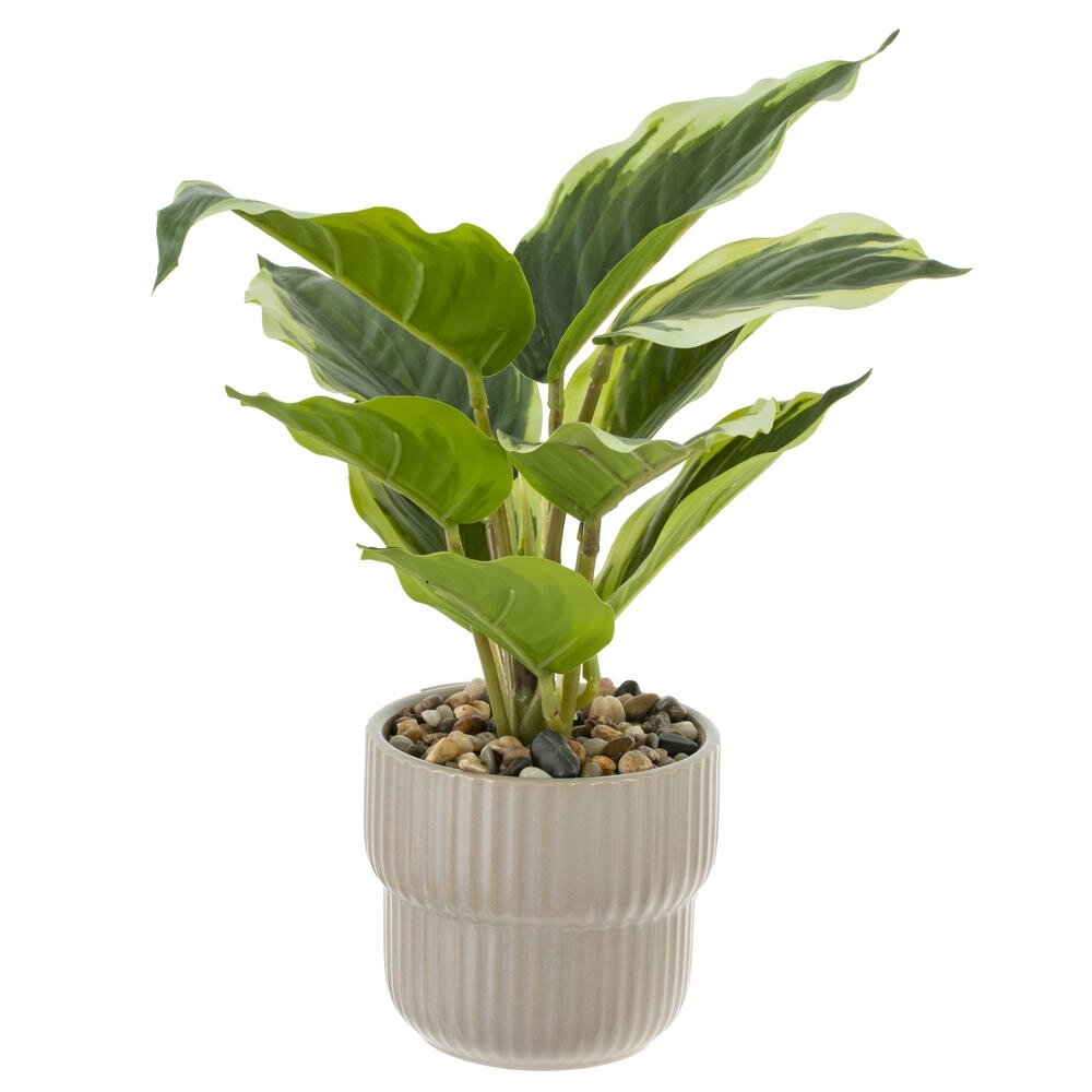 Цветочная композиция 