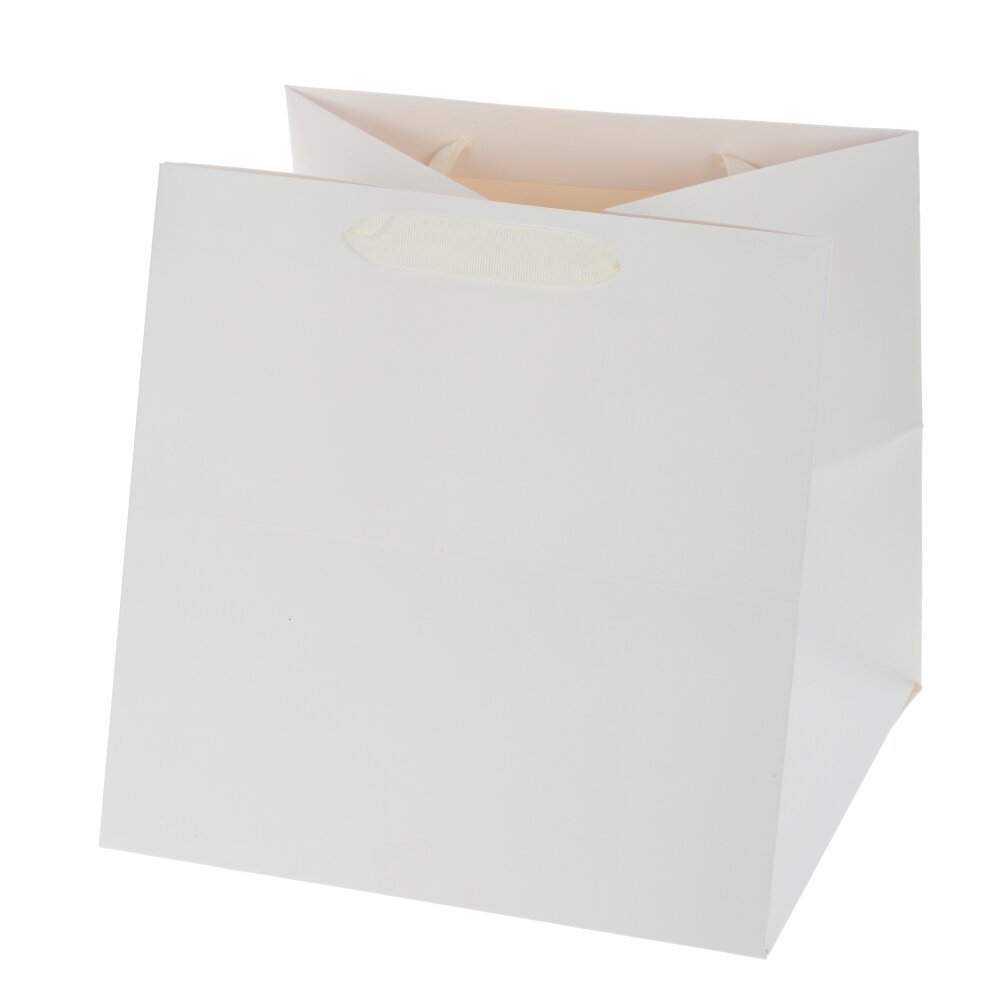 Пакет подарочный (бумага, плотность 250г/м2, блок 12шт), L25 W25 H25 см