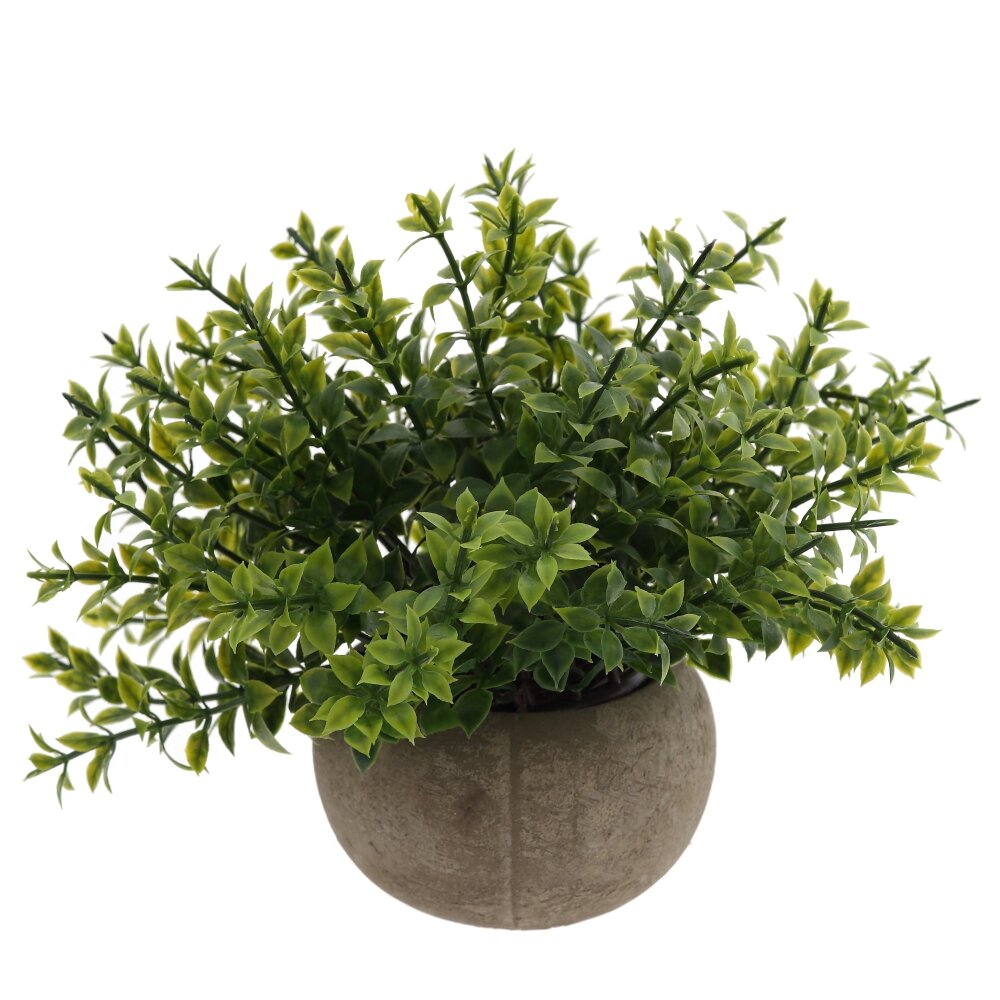 Цветочная композиция, L20 W20 H17 см Цветочная композиция, L20 W20 H17 см