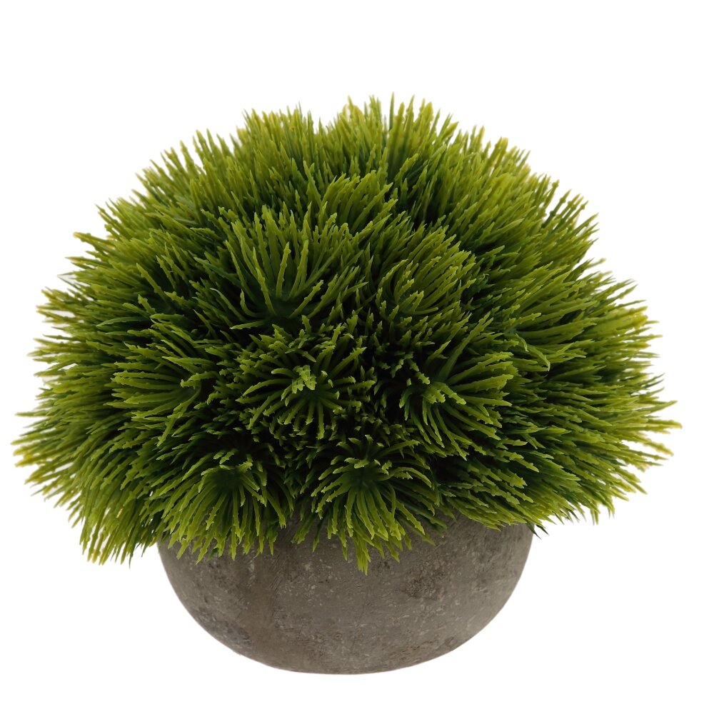 Цветочная композиция, L15 W15 H13 см Цветочная композиция, L15 W15 H13 см