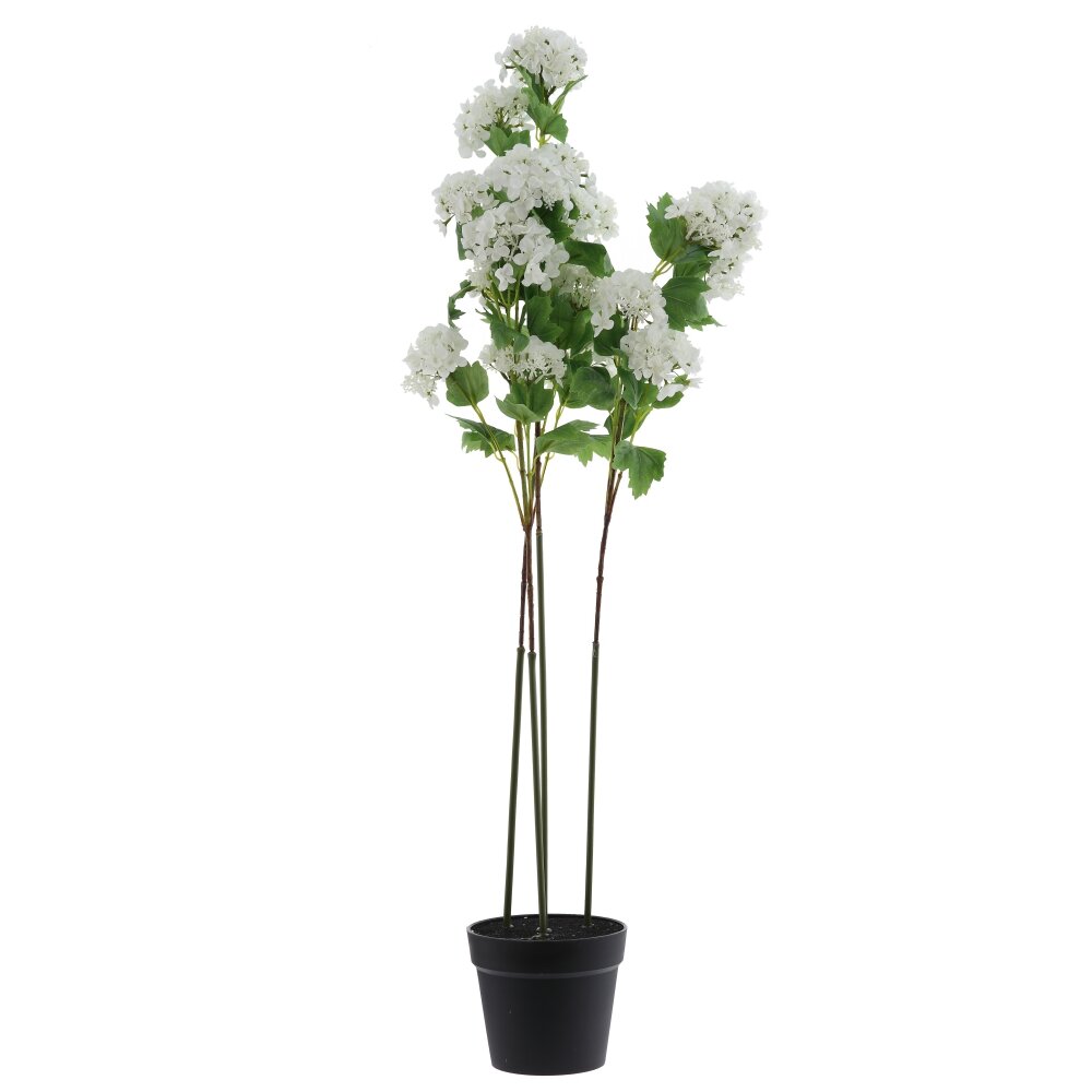 Цветочная композиция 