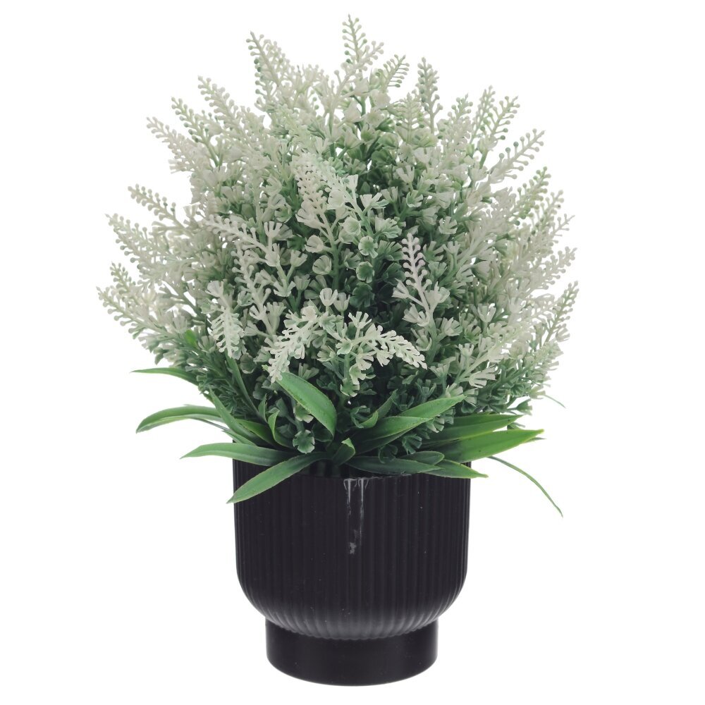 Цветочная композиция, L20 W20 H25 см