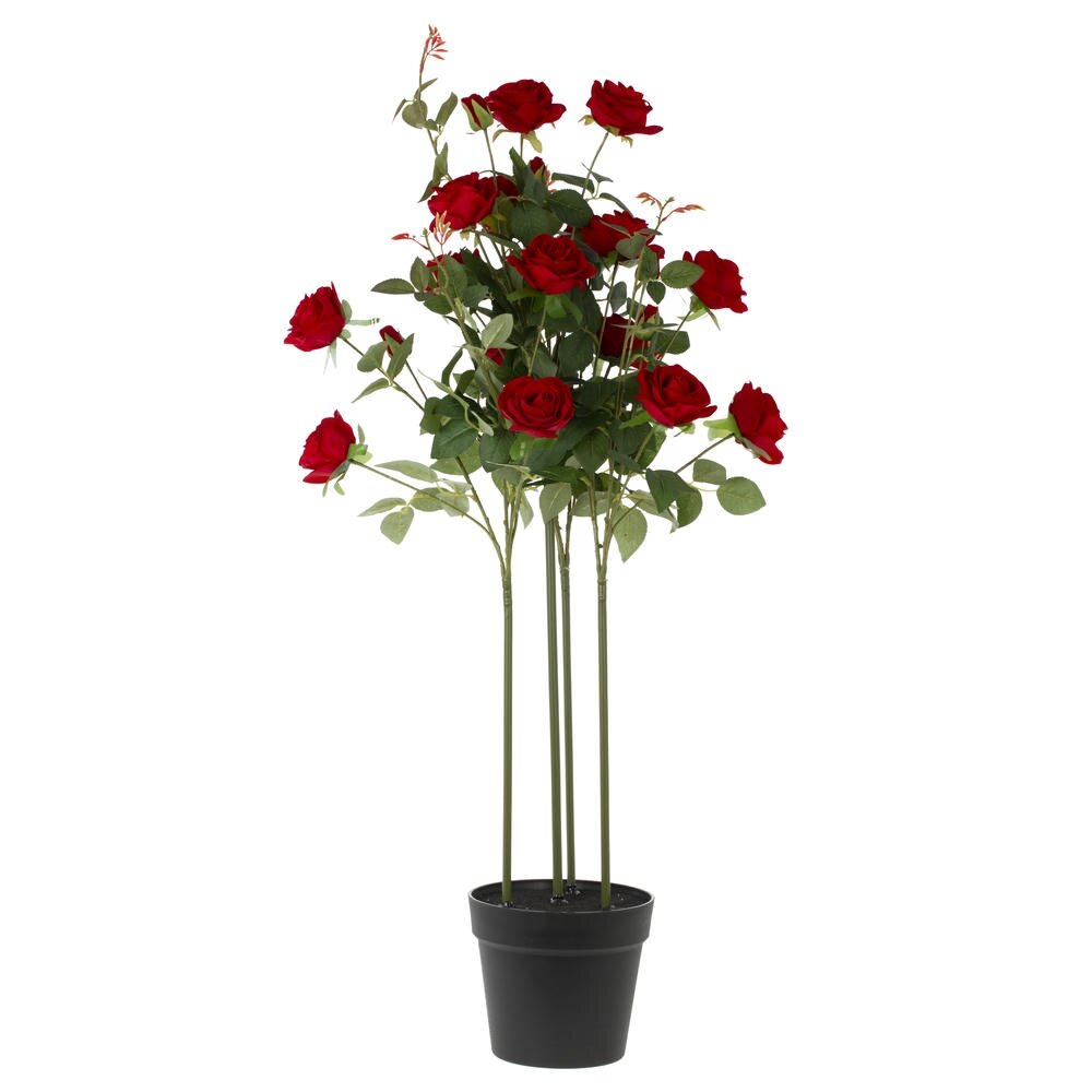 Цветочная композиция 