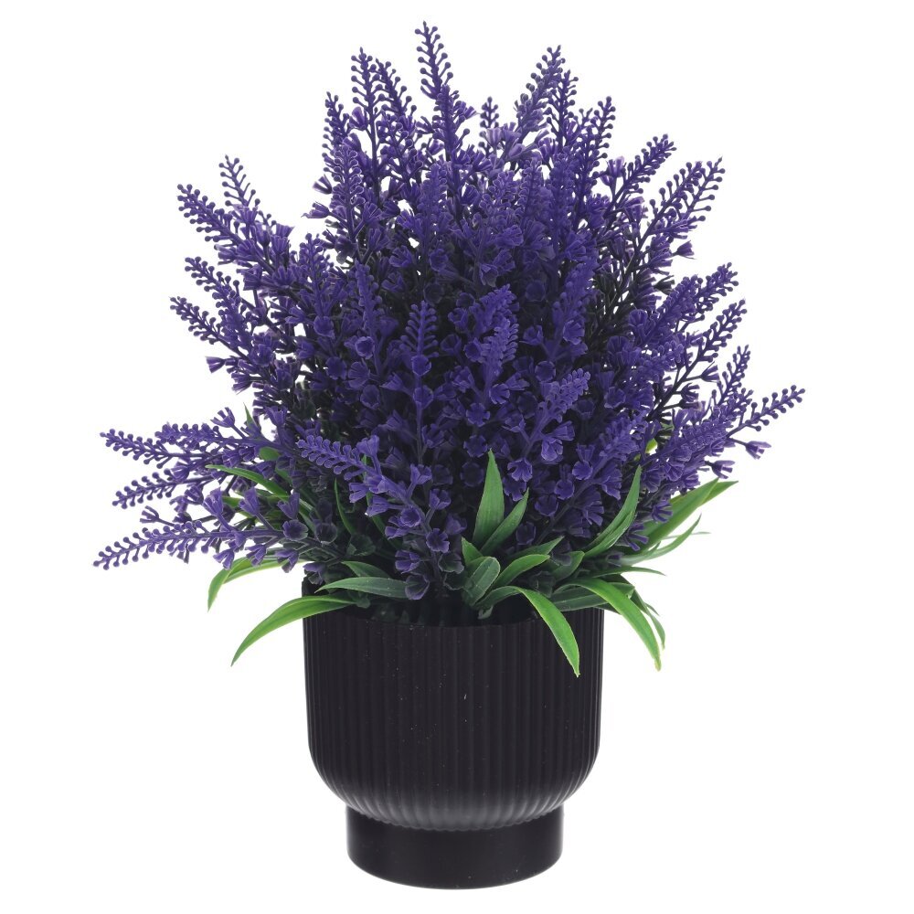 Цветочная композиция, L20 W20 H25 см