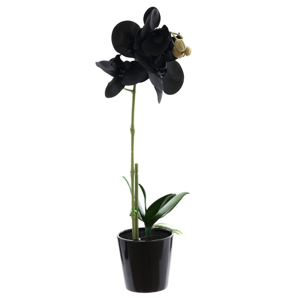 Цветочная композиция 