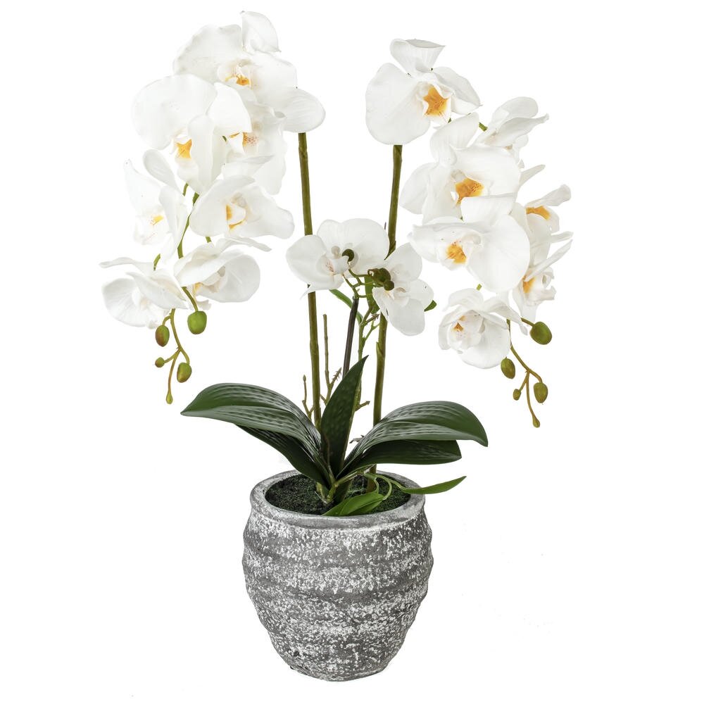 Цветочная композиция Цветочная композиция