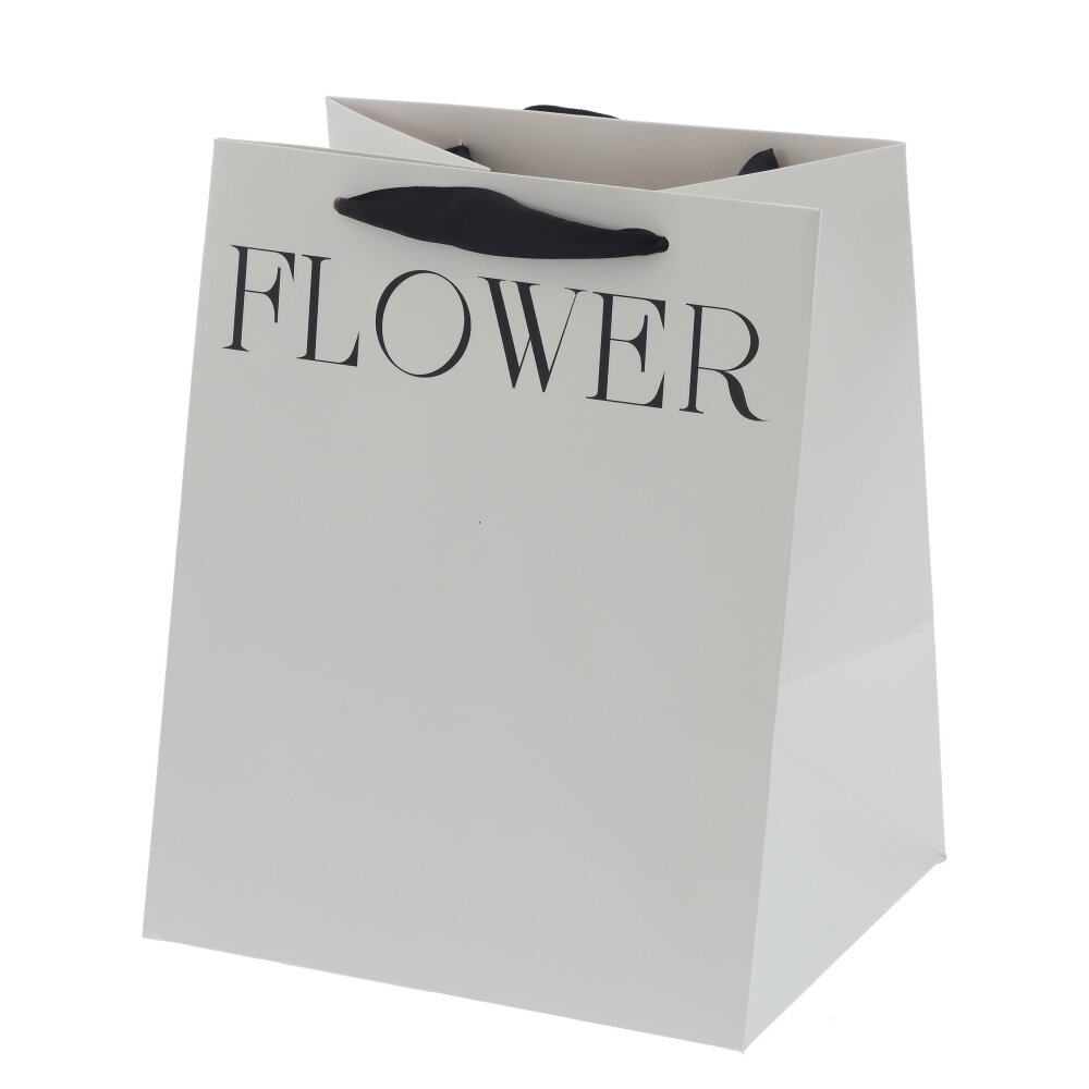 Пакет подарочный M (бумага 250г/м2, блок 10шт), L28 W28 H28 см Пакет подарочный M (бумага 250г/м2, блок 10шт), L28 W28 H28 см