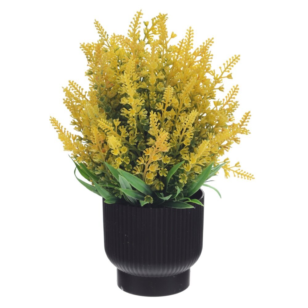 Цветочная композиция, L20 W20 H25 см