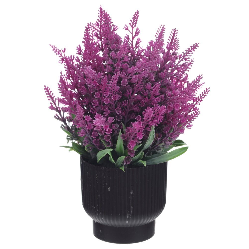 Цветочная композиция, L20 W20 H25 см